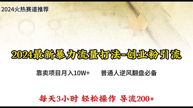 （10151期）2024年最新暴力流量打法，每日导入300+，靠卖项目月入10W+_80楼网创