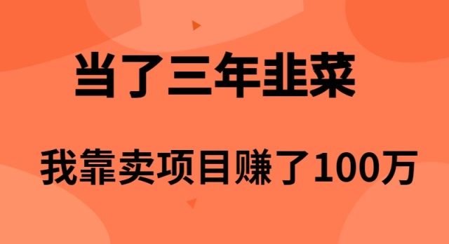 （10149期）当了3年韭菜，我靠卖项目赚了100万_80楼网创