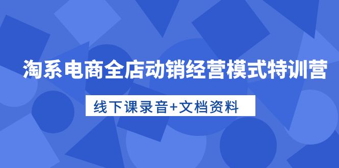 （10192期）淘系电商全店动销经营模式特训营，线下课录音+文档资料_80楼网创