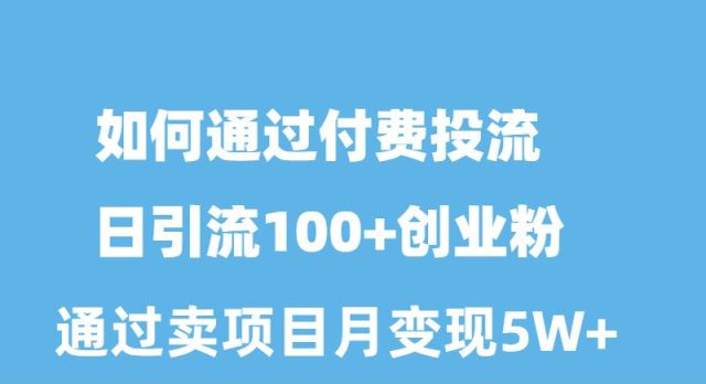 （10189期）如何通过付费投流日引流100+创业粉月变现5W+_80楼网创