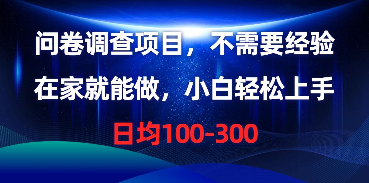 （10402期）问卷调查项目，不需要经验，在家就能做，小白轻松上手，日均100-300_80楼网创