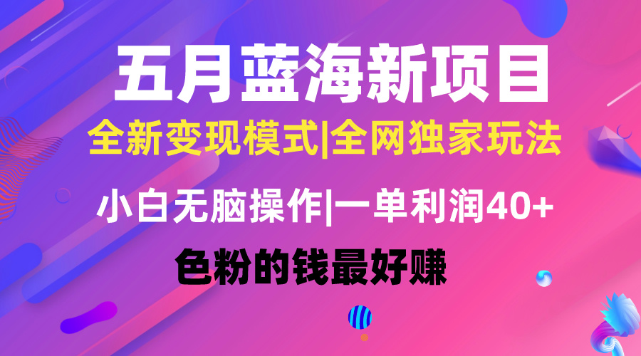 （10477期）五月蓝海项目全新玩法，小白无脑操作，一天几分钟，矩阵操作，月入4万+_80楼网创