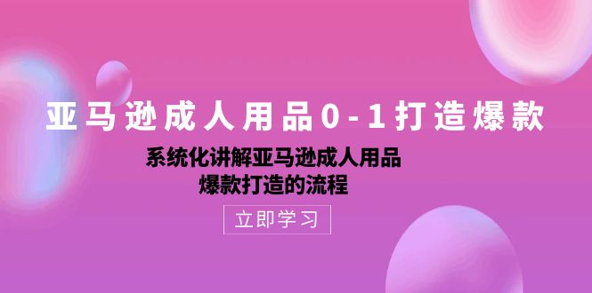 （10493期）亚马逊成人用品0-1打造爆款：系统化讲解亚马逊成人用品爆款打造的流程_80楼网创