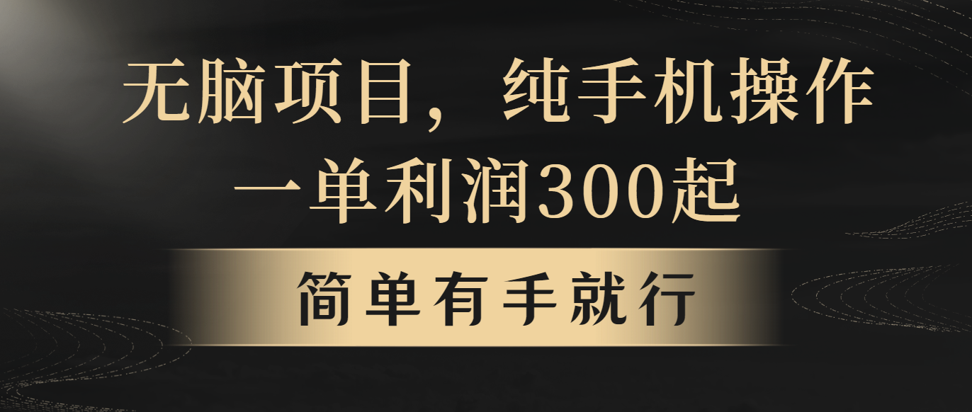 （10589期）无脑项目，一单几百块，轻松月入5w+，看完就能直接操作_80楼网创