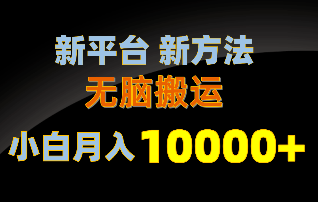 （10605期）新平台新方法，无脑搬运，月赚10000+，小白轻松上手不动脑_80楼网创