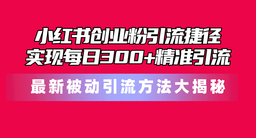 （10692期）小红书创业粉引流捷径！最新被动引流方法大揭秘，实现每日300+精准引流_80楼网创