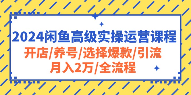 （10711期）2024闲鱼高级实操运营课程：开店/养号/选择爆款/引流/月入2万/全流程_80楼网创