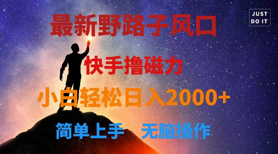 （10754期）最新风口！快手撸磁力，野路子，小白无脑操作日入2000+_80楼网创