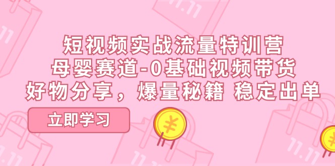 （11373期）短视频实战流量特训营，母婴赛道-0基础带货，好物分享，爆量秘籍 稳定出单