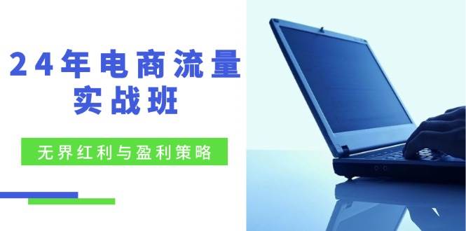 （12168期）24年电商流量实战班：无界 红利与盈利策略，终极提升/关键词优化/精准…