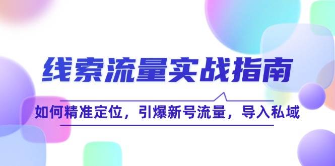 （12382期）线 索 流 量-实战指南：如何精准定位，引爆新号流量，导入私域