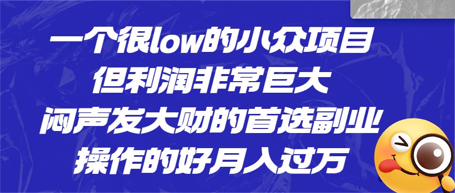 [抖音快手]一个很low的小众项目，但利润非常巨大，闷声发大财的首选副业，操作的好月入过万