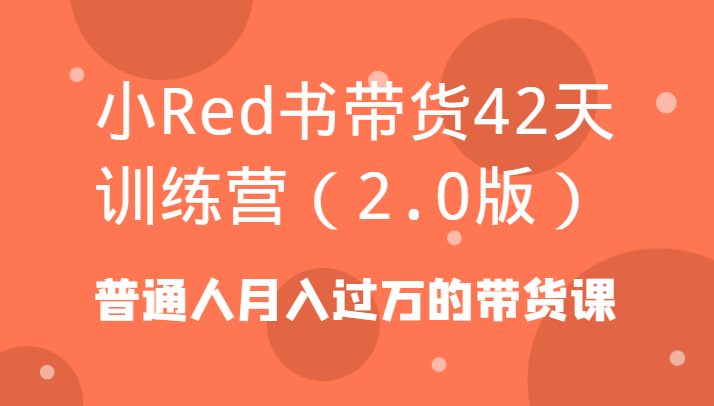 小Red书带货42天训练营（2.0版）普通人月入过万的带货课_80楼网创