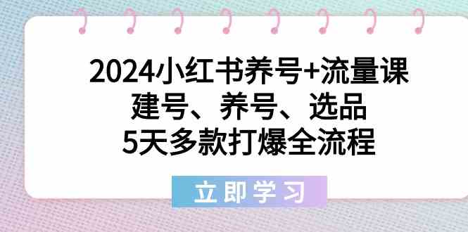 2024小红书养号+流量课：建号、养号、选品，5天多款打爆全流程_80楼网创