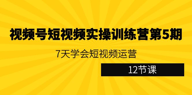 视频号短视频实操训练营第5期：7天学会短视频运营（12节课）_80楼网创