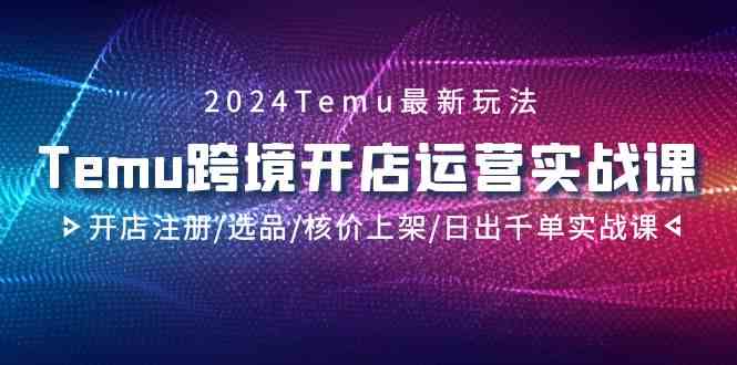 2024Temu跨境开店运营实战课，开店注册/选品/核价上架/日出千单实战课_80楼网创