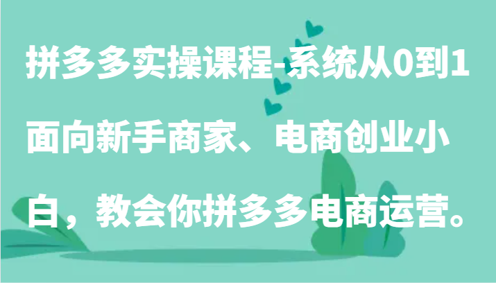 拼多多实操课程-系统从0到1，面向新手商家、电商创业小白，教会你拼多多电商运营。_80楼网创