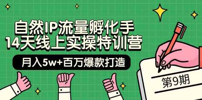 自然IP流量孵化手14天线上实操特训营【第9期】月入5w+百万爆款打造 (74节)_80楼网创