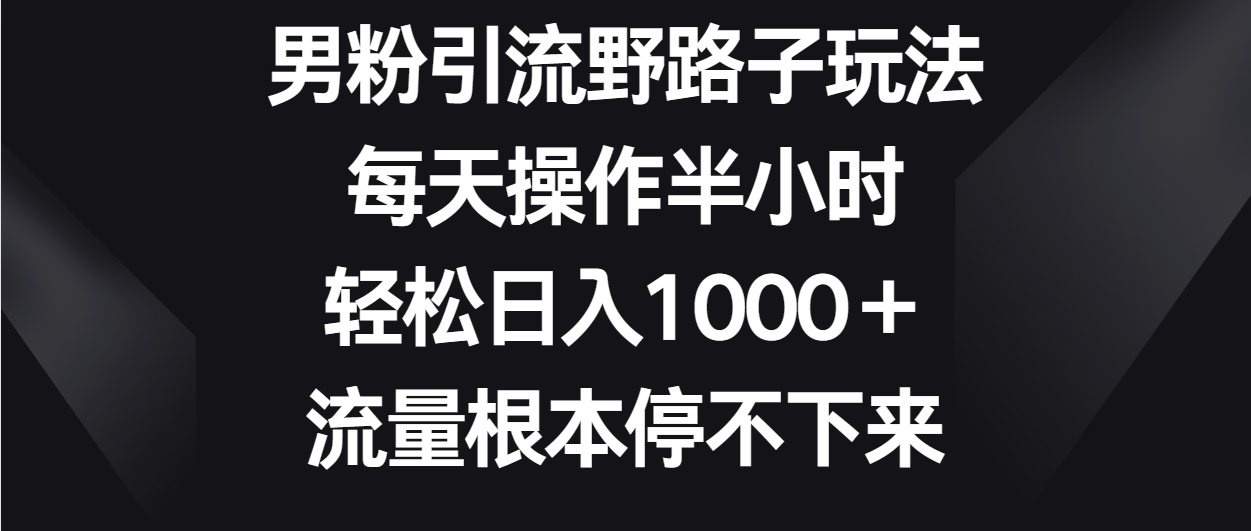 男粉引流野路子玩法，每天操作半小时轻松日入1000＋，流量根本停不下来_80楼网创