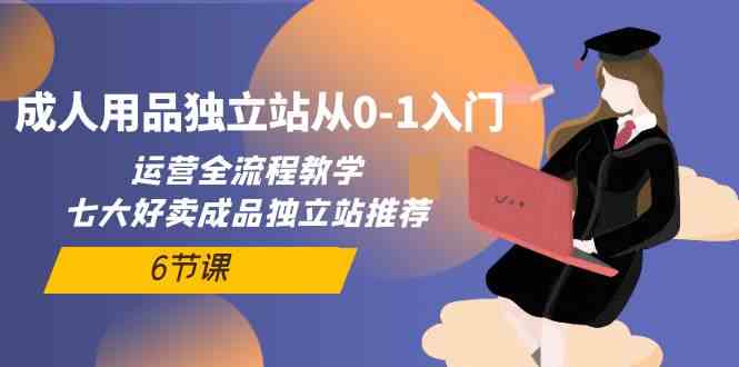 成人用品独立站从0-1入门，运营全流程教学，七大好卖成品独立站推荐（6节课）_80楼网创