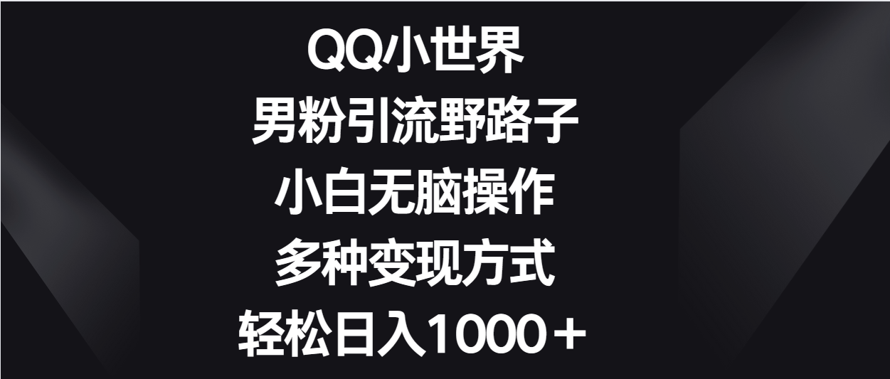 QQ小世界男粉引流野路子，小白无脑操作，多种变现方式轻松日入1000＋_80楼网创