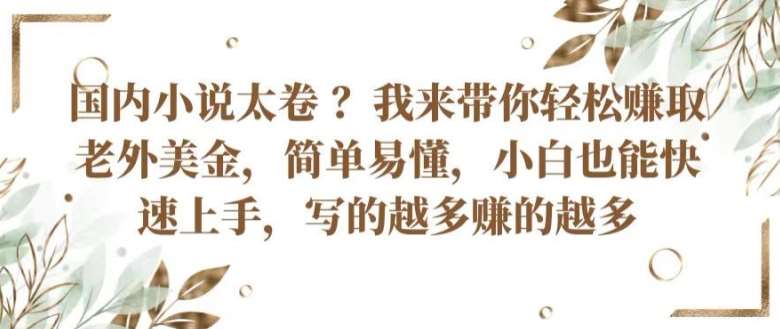 国内小说太卷 ?带你轻松赚取老外美金，简单易懂，小白也能快速上手，写的越多赚的越多