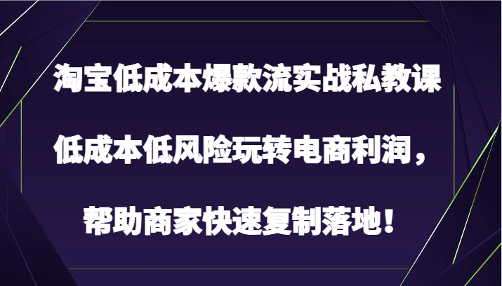 淘宝低成本爆款流实战私教课，低成本低风险玩转电商利润，帮助商家快速复制落地！_80楼网创