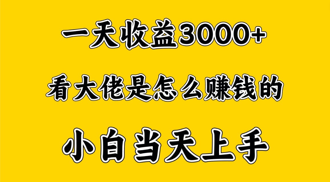 一天赚3000多，大佬是这样赚到钱的，小白当天上手，穷人翻身项目_80楼网创