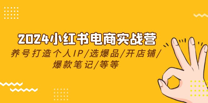 2024小红书电商实战营，养号打造IP/选爆品/开店铺/爆款笔记/等等（24节）_80楼网创