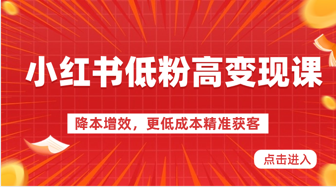 小红书低粉高变现课-降本增效，更低成本精准获客，小红书必爆的流量密码_80楼网创