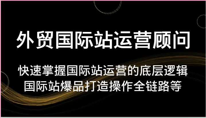 外贸国际站运营顾问-快速掌握国际站运营的底层逻辑，国际站爆品打造操作全链路等