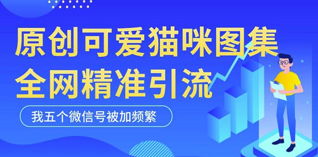 黑科技纯原创可爱猫咪图片，全网精准引流，实操5个VX号被加频繁