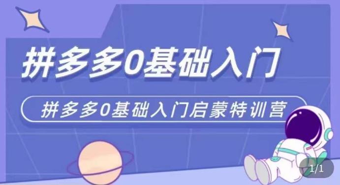 拼多多运营0-1实操特训营，拼多多0基础入门，从基础到进阶的可实操玩法