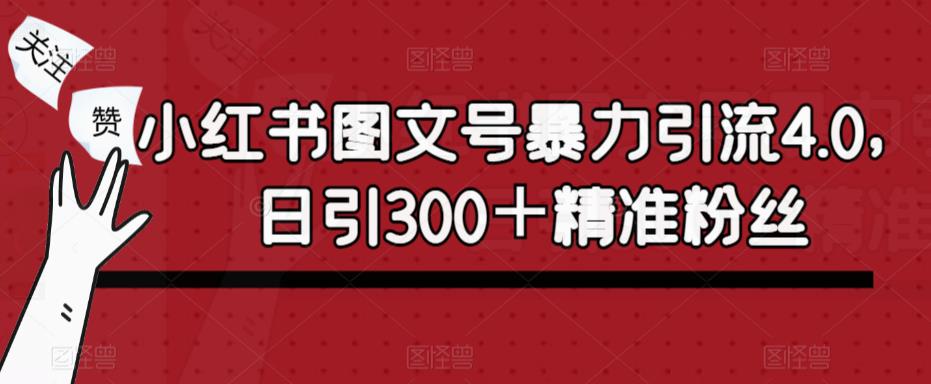 小红书图文号暴力引流4.0，日引300＋精准粉丝