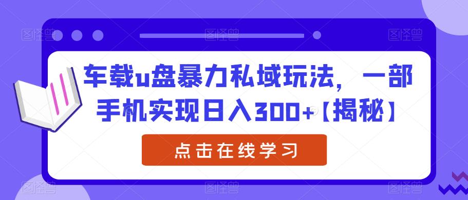 车载u盘暴力私域玩法，一部手机实现日入300+