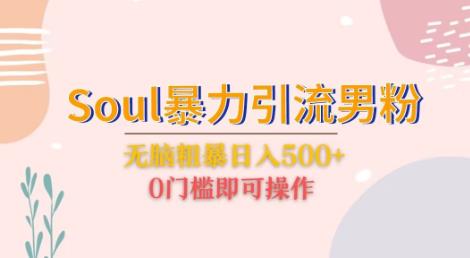 Soul暴力引流男粉玩法，无脑粗暴日入500＋，0门槛即可操作