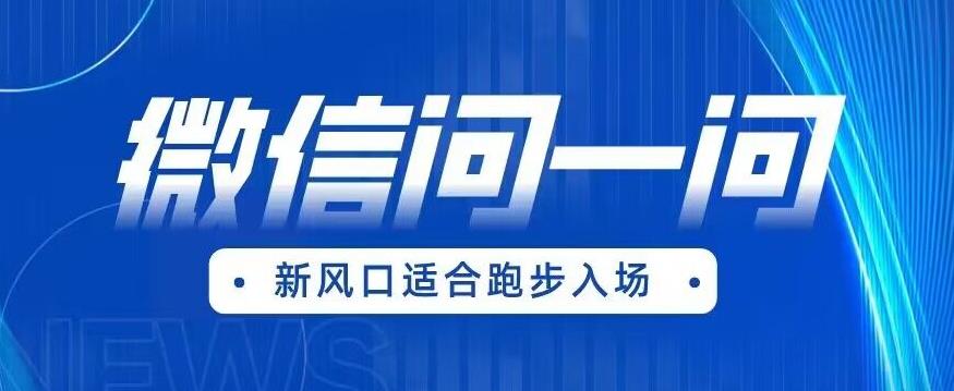 全网首发微信问一问新风口变现项目（价值1999元）