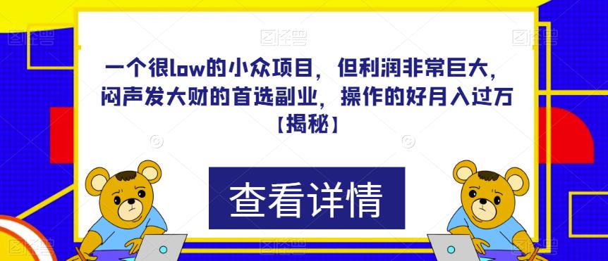 一个很low的小众项目，但利润非常巨大，闷声发大财的首选副业，操作的好月入过万