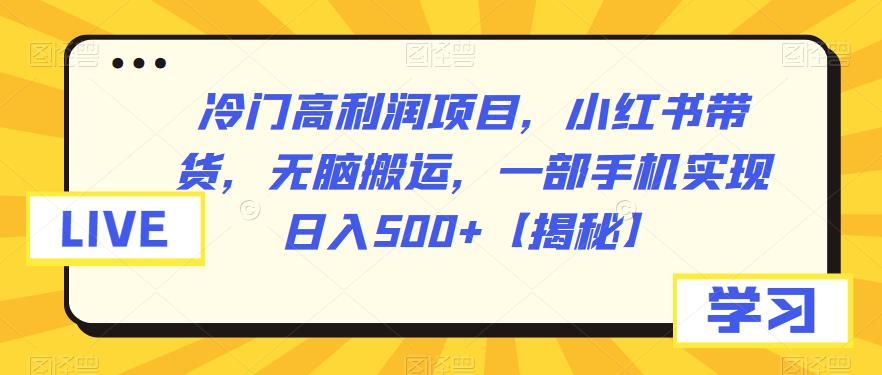 冷门高利润项目，小红书带货，无脑搬运，一部手机实现日入500+