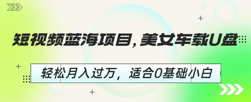 短视频蓝海项目，美女车载U盘，轻松月入过万，适合0基础小白