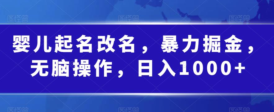 婴儿起名改名，暴力掘金，无脑操作，日入1000+