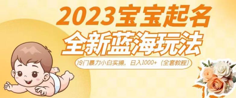 2023宝宝起名全新蓝海玩法，冷门暴力小白实操，日入1000+（全套教程）