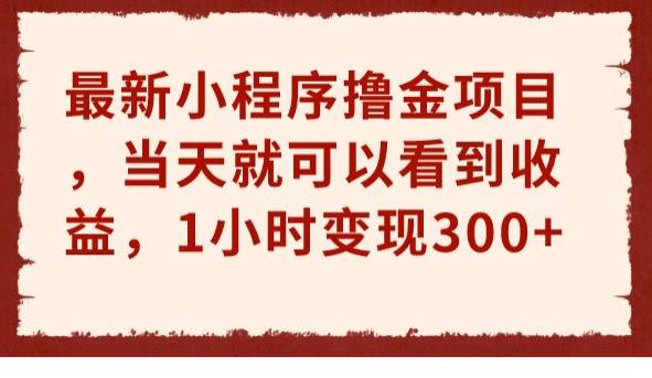 最新小程序撸金项目，当天就可以看到收益，1小时变现300+