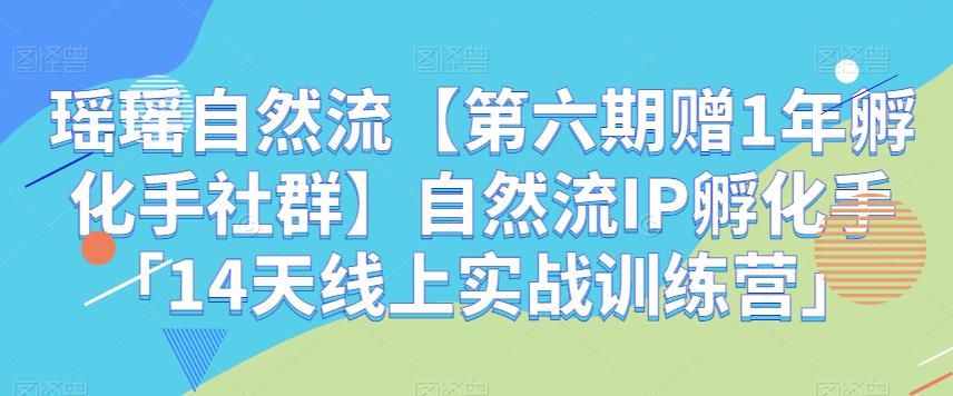 瑶瑶自然流【第六期赠1年孵化手社群】自然流IP孵化手「14天线上实战训练营」