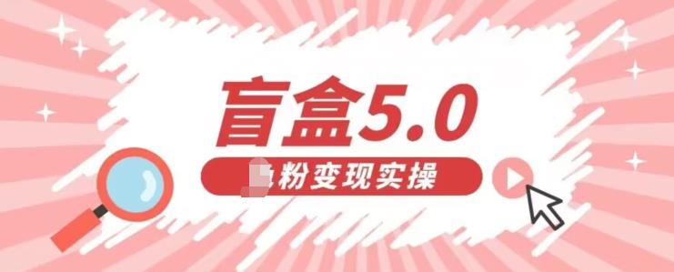 盲盒交友5.0，男粉变现实操项目，亲测变现效果极好