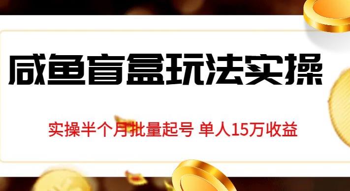 独家首发咸鱼盲盒玩法实操，半个月批量起号单人15万收益