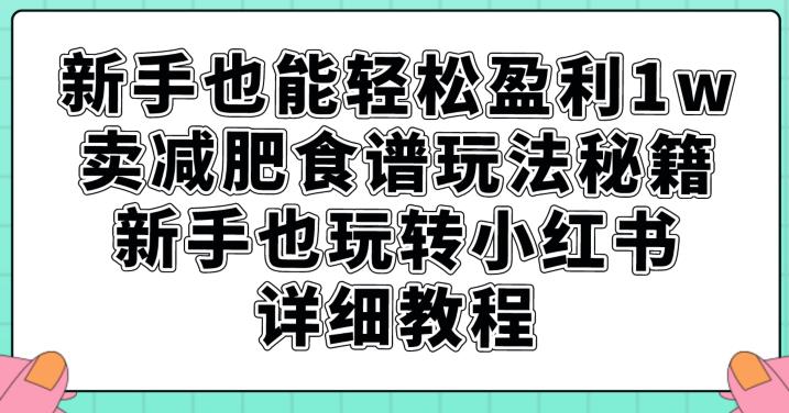 新手也能轻松盈利1w，卖减肥食谱玩法秘籍，新手也玩转小红书详细教程