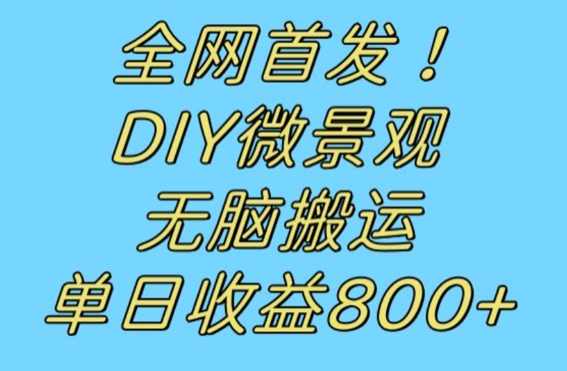 全网首发冷门赛道！DIY微景观，无脑搬运视频，日收益800+