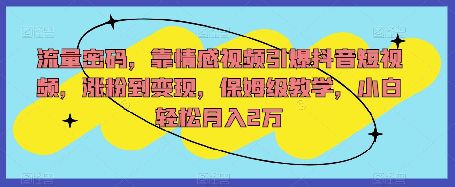 流量密码，靠情感视频引爆抖音短视频，涨粉到变现，保姆级教学，小白轻松月入2万