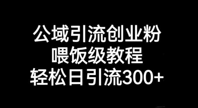 公域引流创业粉，喂饭级教程，轻松日引流300+